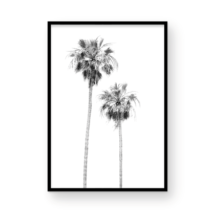 Minimalist palm tree print in black and white, showcasing two tall palm trees against a bright background. This vertical wall art is a coastal palm tree print. Photograph in minimalist mock up.