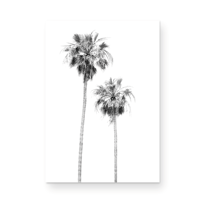 Minimalist palm tree print in black and white, showcasing two tall palm trees against a bright background. This vertical wall art is a coastal palm tree print. Photograph in minimalist mock up.