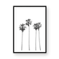 Palms 4853