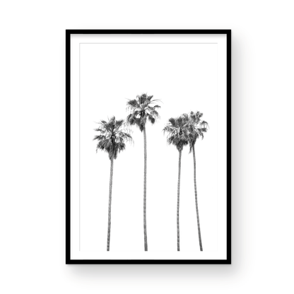 Minimalist palm tree print in black and white, showcasing a line of tall palm trees against a bright background. This vertical wall art is a coastal palm tree print. Photograph in minimalist mock up.