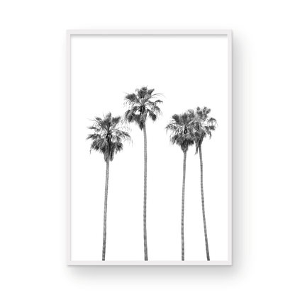 Minimalist palm tree print in black and white, showcasing a line of tall palm trees against a bright background. This vertical wall art is a coastal palm tree print. Photograph in minimalist mock up.