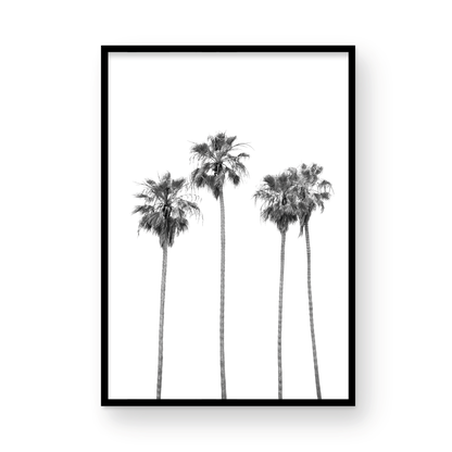Minimalist palm tree print in black and white, showcasing a line of tall palm trees against a bright background. This vertical wall art is a coastal palm tree print. Photograph in minimalist mock up.