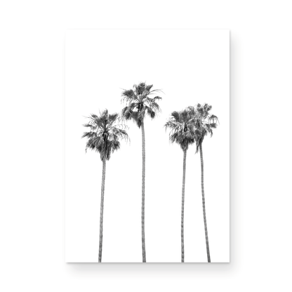 Minimalist palm tree print in black and white, showcasing a line of tall palm trees against a bright background. This vertical wall art is a coastal palm tree print. Photograph in minimalist mock up.