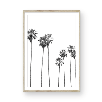 Minimalist palm tree print in black and white, showcasing a line of tall palm trees against a bright background. This vertical wall art is a coastal palm tree print. Photograph in minimalist mock up.