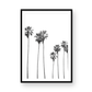 Palms 4863