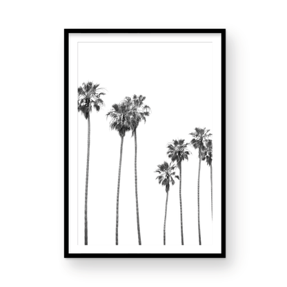 Minimalist palm tree print in black and white, showcasing a line of tall palm trees against a bright background. This vertical wall art is a coastal palm tree print. Photograph in minimalist mock up.