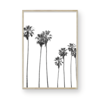 Minimalist palm tree print in black and white, showcasing a line of tall palm trees against a bright background. This vertical wall art is a coastal palm tree print. Photograph in minimalist mock up.