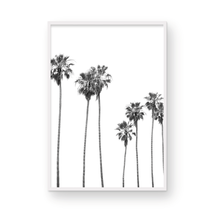 Minimalist palm tree print in black and white, showcasing a line of tall palm trees against a bright background. This vertical wall art is a coastal palm tree print. Photograph in minimalist mock up.