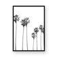 Palms 4863