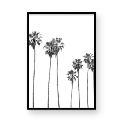 Minimalist palm tree print in black and white, showcasing a line of tall palm trees against a bright background. This vertical wall art is a coastal palm tree print. Photograph in minimalist mock up.