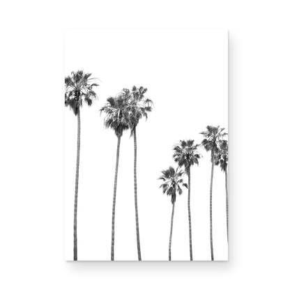 Minimalist palm tree print in black and white, showcasing a line of tall palm trees against a bright background. This vertical wall art is a coastal palm tree print. Photograph in minimalist mock up.