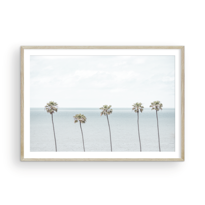 Coastal Encinitas photography featuring a row of palm trees along the coastline. Photograph in minimalist mock up.