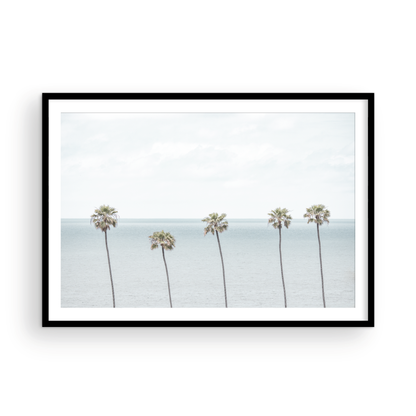 Coastal Encinitas photography featuring a row of palm trees along the coastline. Photograph in minimalist mock up.