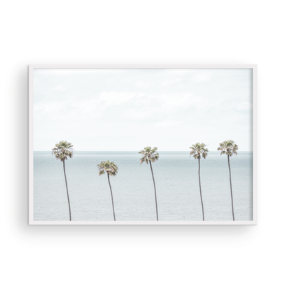 Coastal Encinitas photography featuring a row of palm trees along the coastline. Photograph in minimalist mock up.