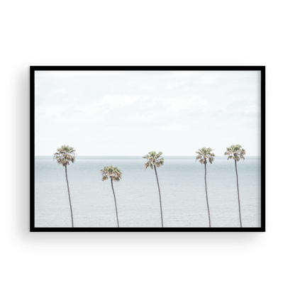 Coastal Encinitas photography featuring a row of palm trees along the coastline. Photograph in minimalist mock up.