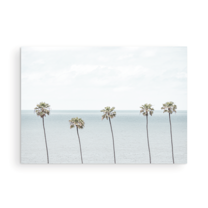 Coastal Encinitas photography featuring a row of palm trees along the coastline. Photograph in minimalist mock up.