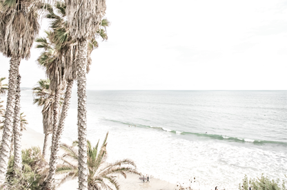 Dreamy coastal palm tree print featuring several tall palm trees with shaggy trunks, and surfers walking down the tranquil beach. This vertical tropical print is captured at Swamis Beach on the Southern California coast, is bathed in bright, hazy sunlight, creating a pastel beach art effect. Evokes serene summer vibes, perfect for beach house decor.