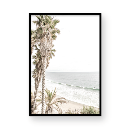 Dreamy coastal palm tree print featuring several tall palm trees with shaggy trunks, lining a gentle slope down to a tranquil beach. This vertical tropical print is captured at Swamis Beach on the Southern California coast, is bathed in bright, hazy sunlight, creating a pastel beach art effect. Evokes serene summer vibes, perfect for beach house decor. Photograph in minimalist surf art mock up.