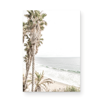 Dreamy coastal palm tree print featuring several tall palm trees with shaggy trunks, lining a gentle slope down to a tranquil beach. This vertical tropical print is captured at Swamis Beach on the Southern California coast, is bathed in bright, hazy sunlight, creating a pastel beach art effect. Evokes serene summer vibes, perfect for beach house decor. Photograph in minimalist surf art mock up.