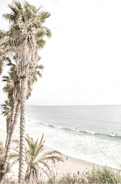 Dreamy coastal palm tree print featuring several tall palm trees with shaggy trunks, lining a gentle slope down to a tranquil beach. This vertical tropical print is captured at Swamis Beach on the Southern California coast, is bathed in bright, hazy sunlight, creating a pastel beach art effect. Evokes serene summer vibes, perfect for beach house decor. 