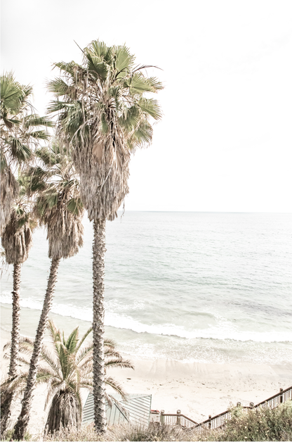Dreamy coastal palm tree print featuring several tall palm trees with shaggy trunks, next to a staircase down to a tranquil beach. This vertical tropical print is captured at Swamis Beach on the Southern California coast, is bathed in bright, hazy sunlight, creating a pastel beach art effect. Evokes serene summer vibes, perfect for beach house decor. 