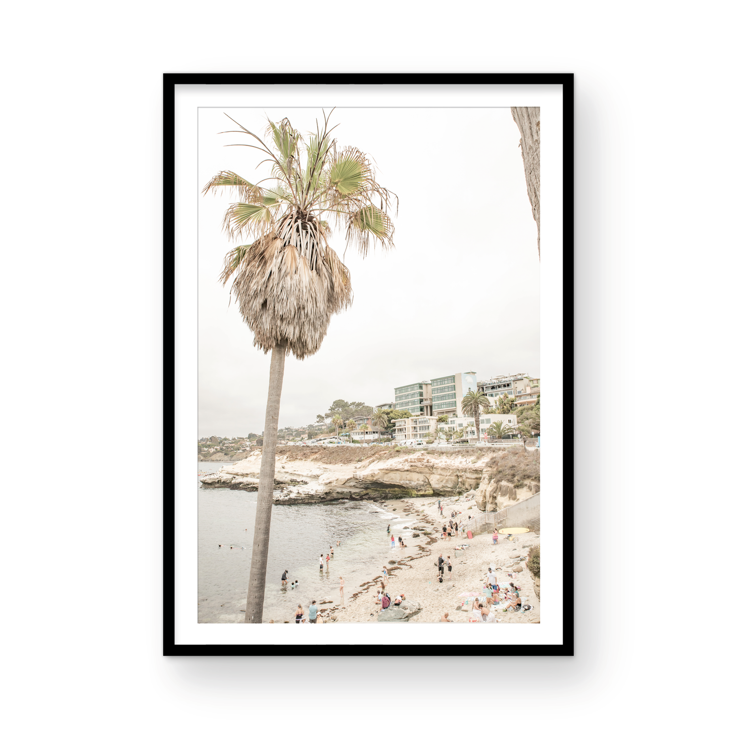 La Jolla Cove 5605