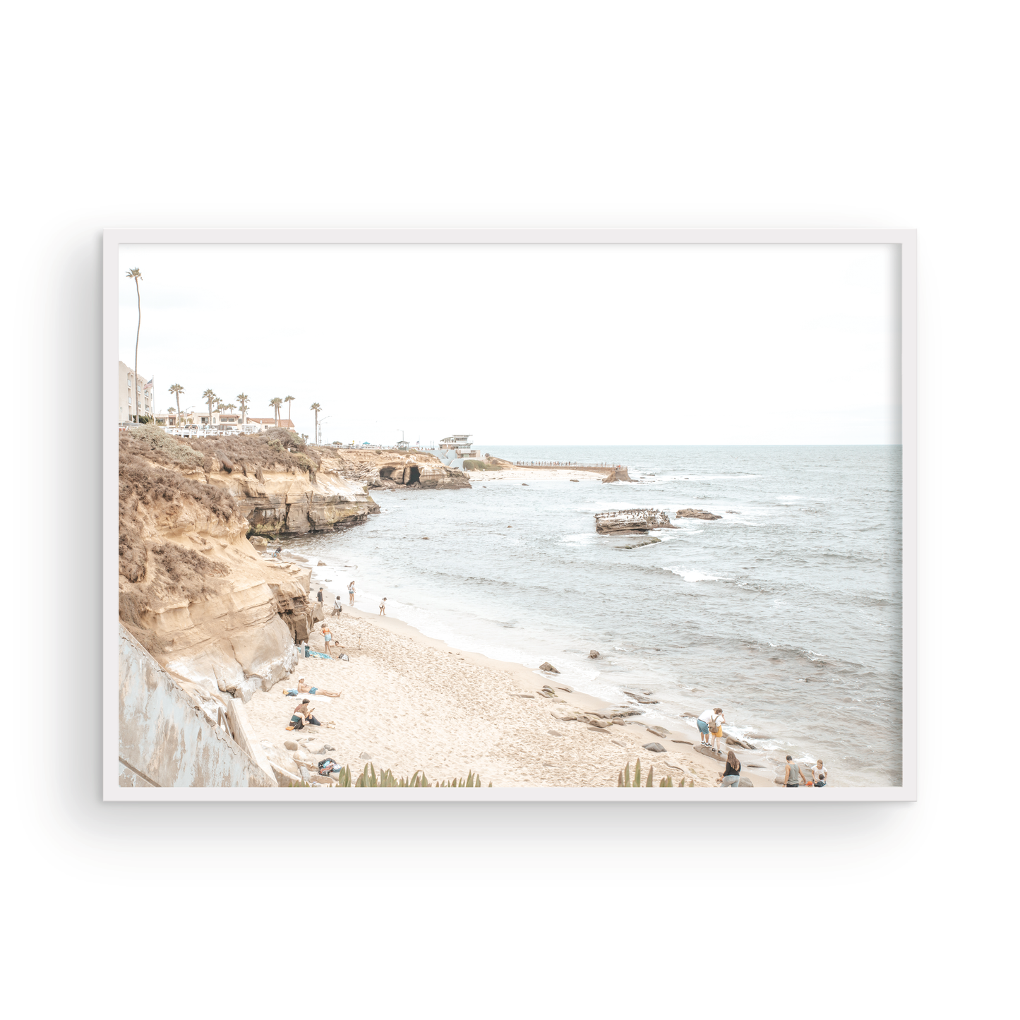 La Jolla Cove 5653