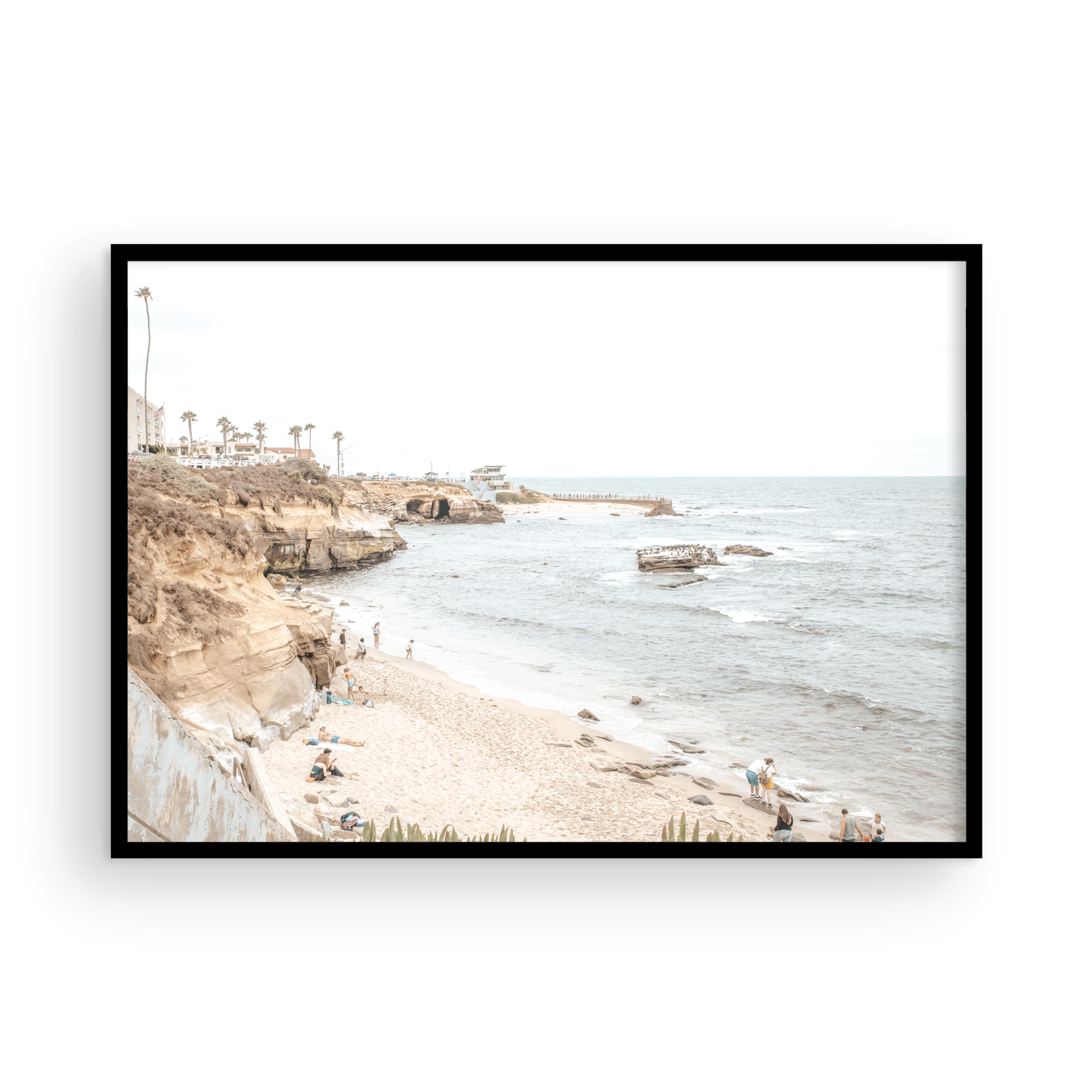 La Jolla Cove 5653