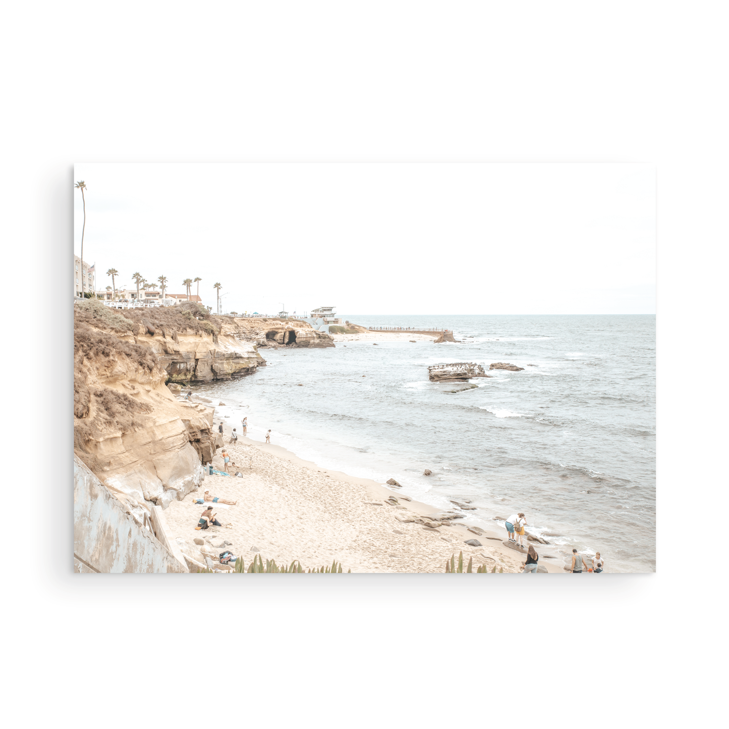 La Jolla Cove 5653