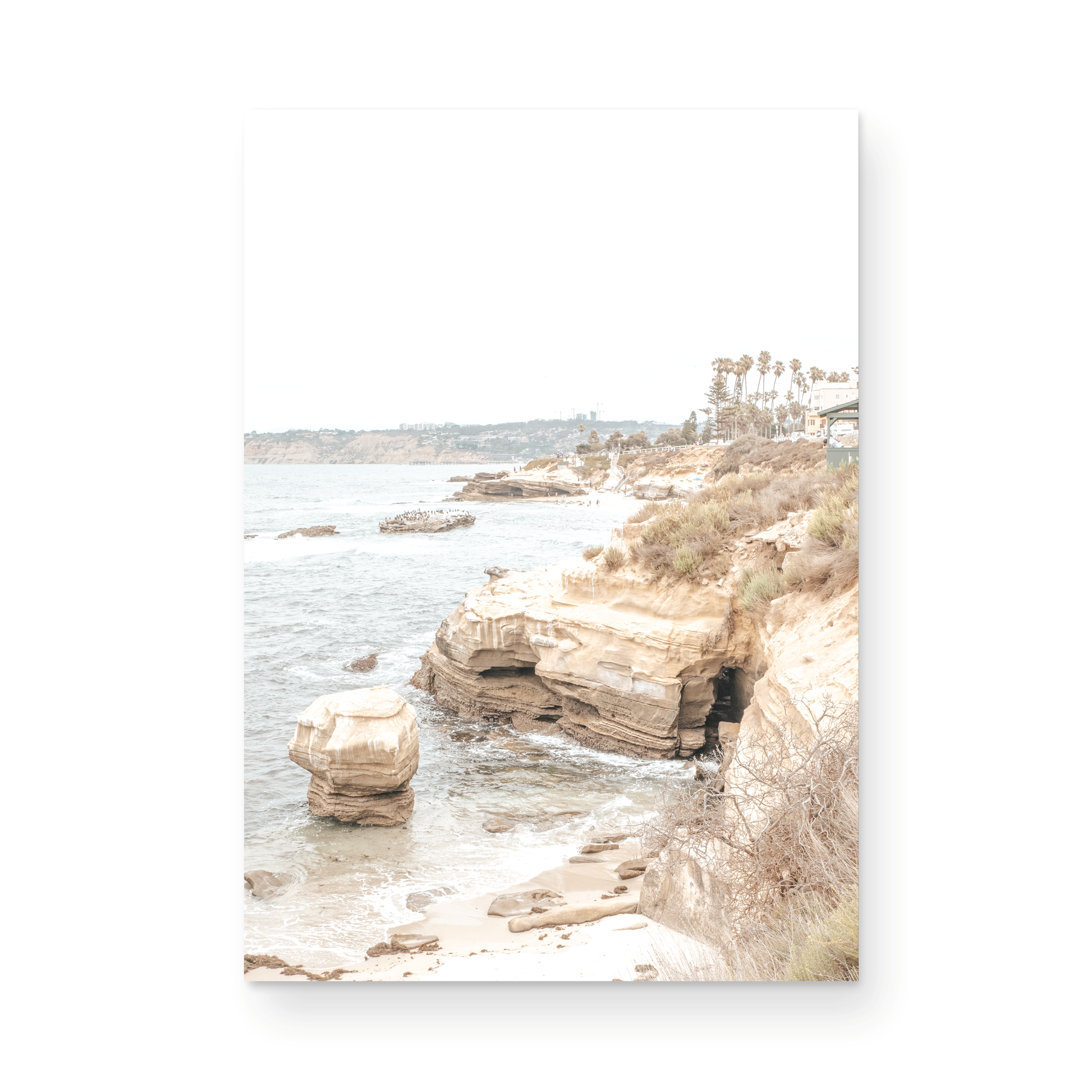 Photography by Kim Dybczak of: This is a vertical photograph of La Jolla Cove in California. 