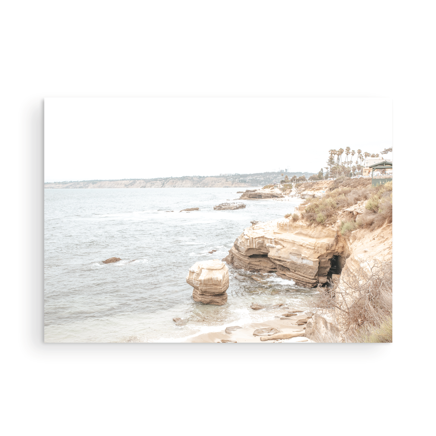 La Jolla Cove 5730