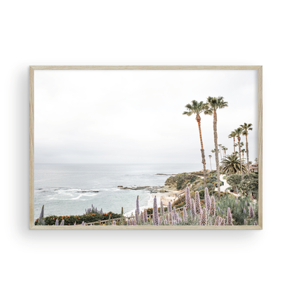 Horizontal coastal photography featuring a scenic view of the ocean with palm trees in the background, set against a white sky, located in Laguna California. Photograph in minimalist mock up.