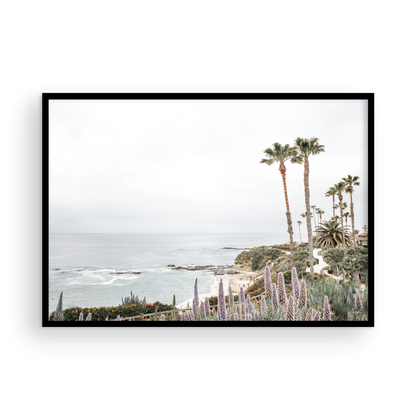 Horizontal coastal photography featuring a scenic view of the ocean with palm trees in the background, set against a white sky, located in Laguna California. Photograph in minimalist mock up.