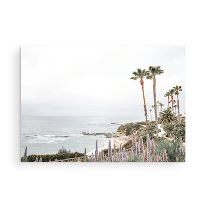 Horizontal coastal photography featuring a scenic view of the ocean with palm trees in the background, set against a white sky, located in Laguna California. Photograph in minimalist mock up.