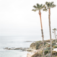 Laguna Beach 8069