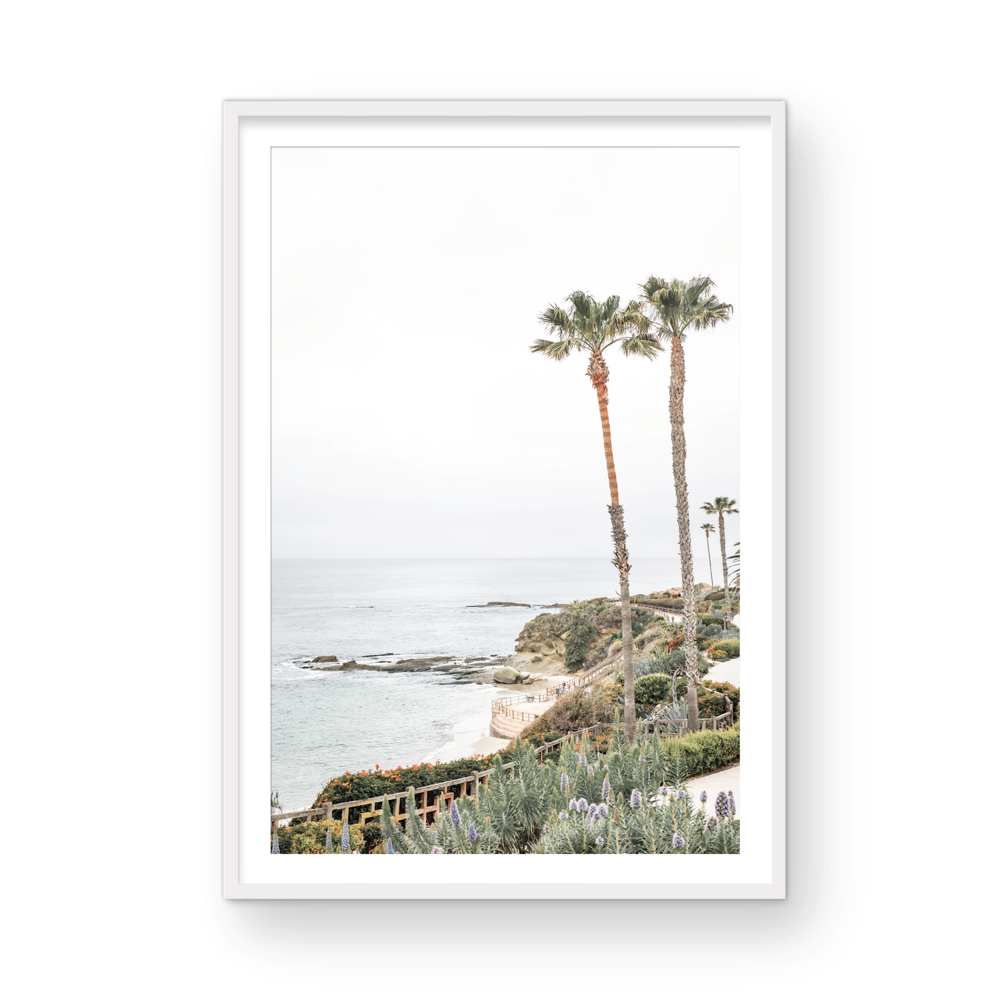 Laguna Beach 8069