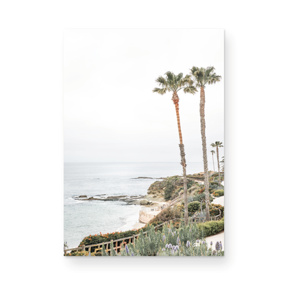 Vertical coastal photography featuring a scenic view of the ocean with palm trees in the background, set against a white sky, located in Laguna California. Photograph in minimalist mock up.