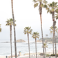 Laguna Beach 8074