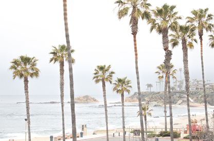 Horizontal coastal photography of a beachscape at Laguna Beach, California, beach art print featuring palm trees and a clear blue sky with a few clouds over a beach scene. 