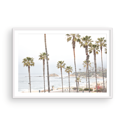 Laguna Beach 8074