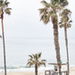 Laguna Beach 8083