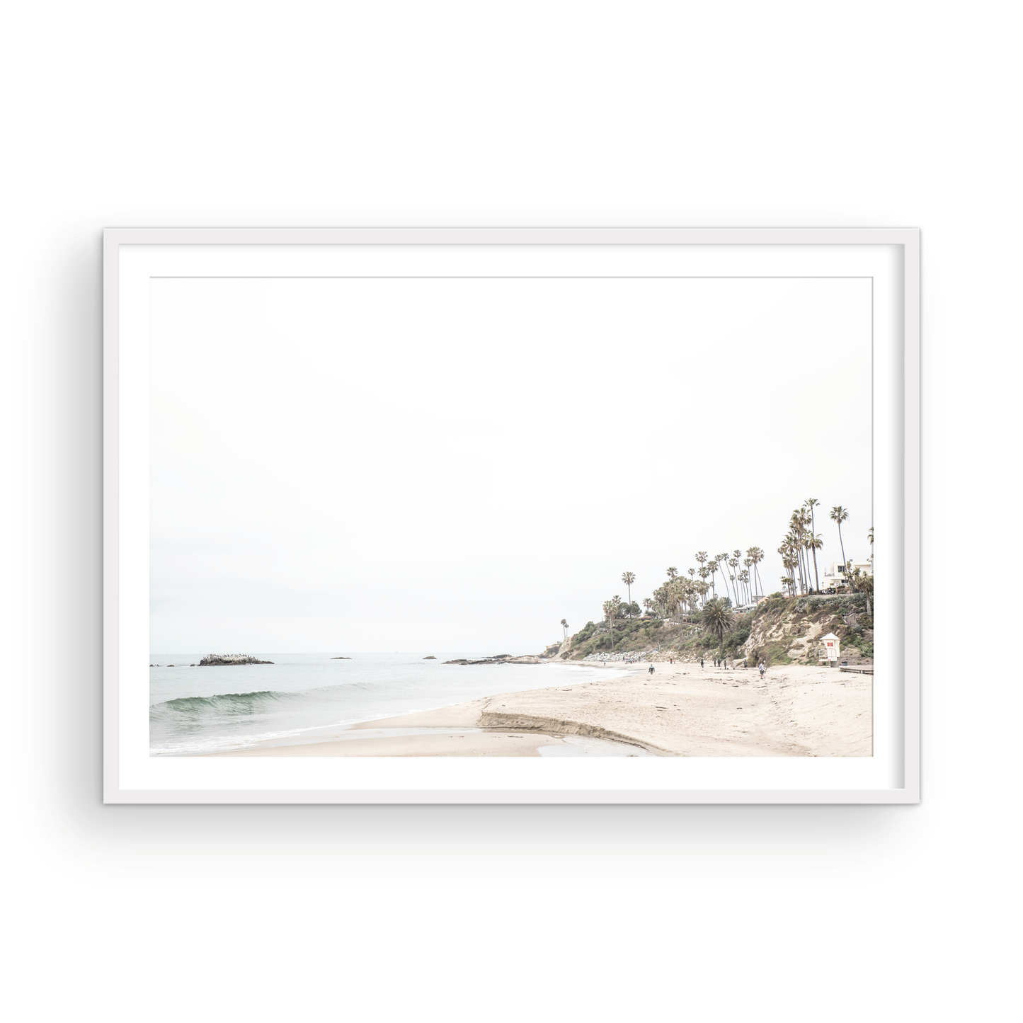 Laguna Beach 8095