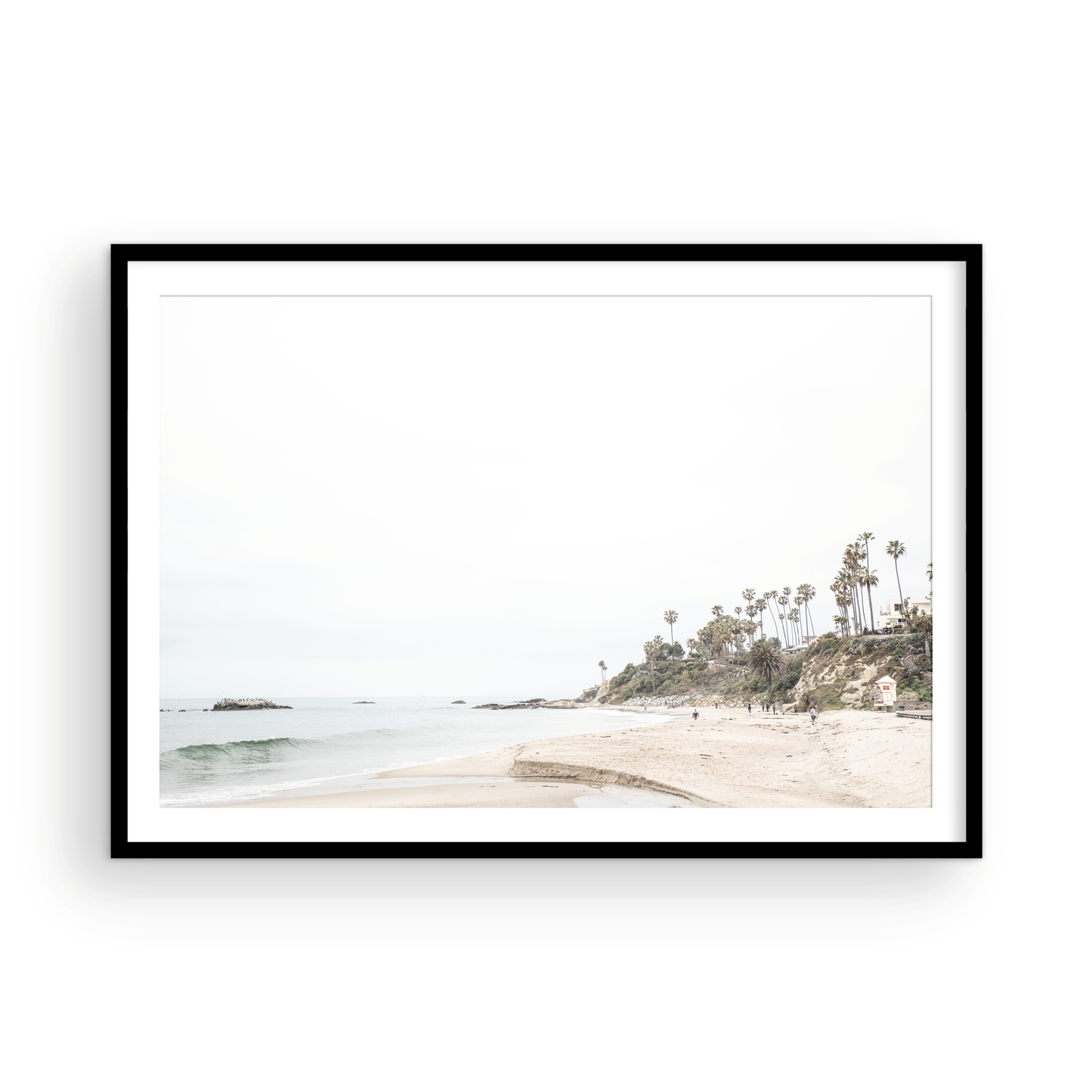 Laguna Beach 8095