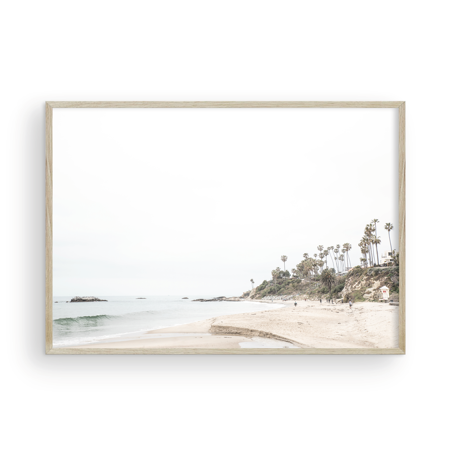 Laguna Beach 8095