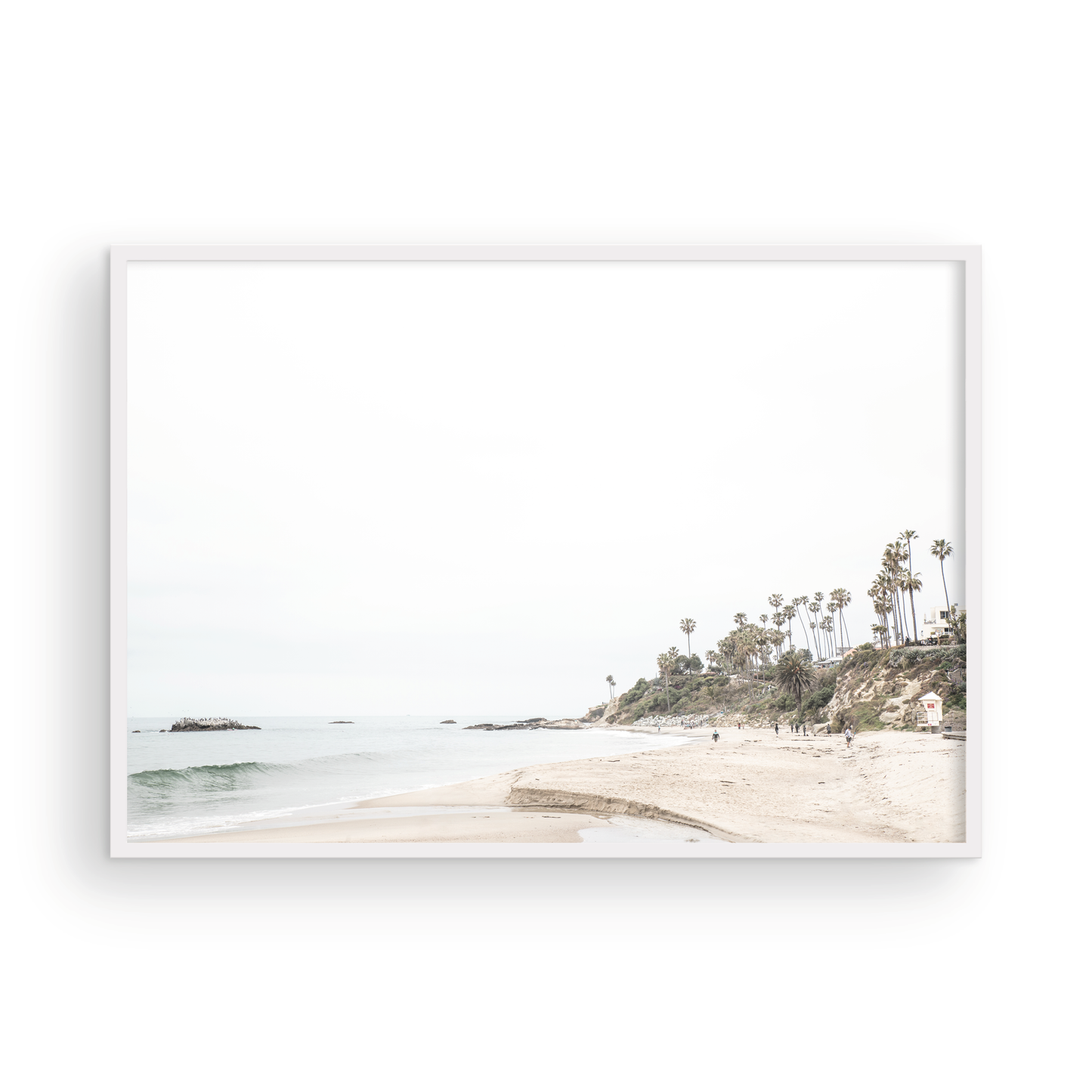 Laguna Beach 8095