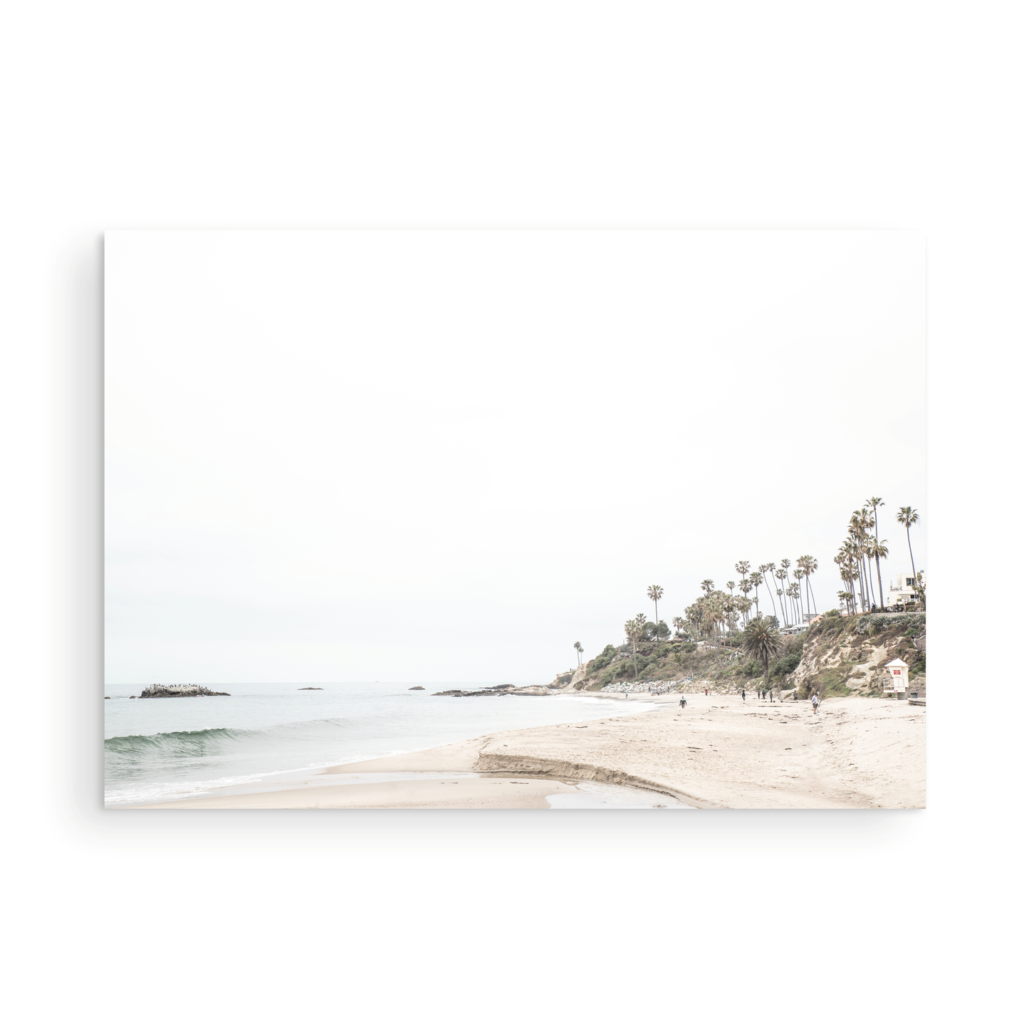 Laguna Beach 8095