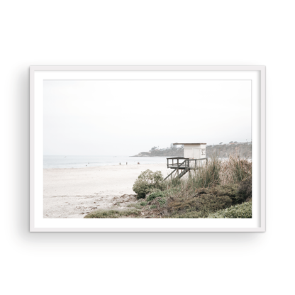 Salt Creek Beach 8183