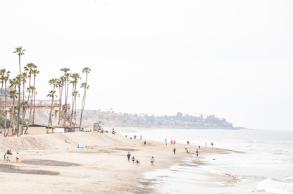 Landscape coastal photography of a wide sandy beach at San Clemente State Beach, with tall palm trees and people enjoying the calm ocean. Perfect for a beach theme wall decor.
