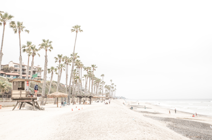 A wide landscape coastal photography view of San Clemente State Beach in Southern California, featuring a row of tall palm trees, a lifeguard tower, and people enjoying the calm beach. This horizontal image evokes Summer Vibes Wall Art and tropical beach print aesthetics. 