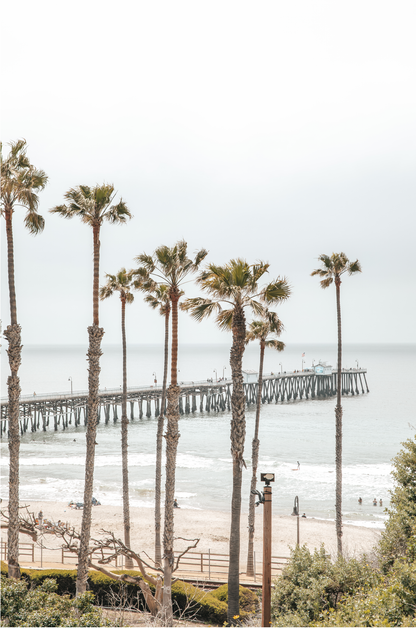 A vertical landscape coastal photography shot of the San Clemente Pier from behind a lush line of tall palm trees. This beachscape print highlights the California coast and is ideal for large beach art or a beach theme wall decor, with subtle ocean waves. 